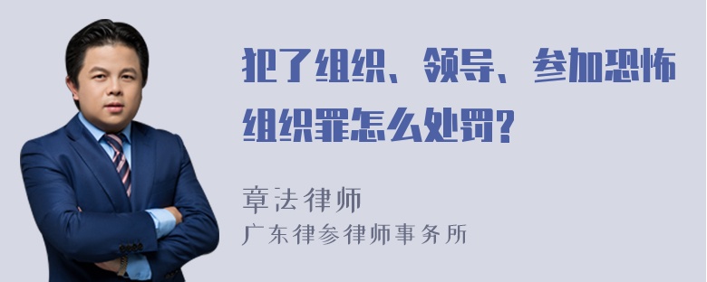 犯了组织、领导、参加恐怖组织罪怎么处罚?