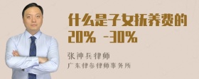 什么是子女抚养费的20% -30%