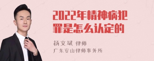 2022年精神病犯罪是怎么认定的