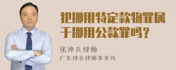 犯挪用特定款物罪属于挪用公款罪吗？