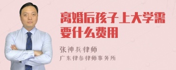 离婚后孩子上大学需要什么费用