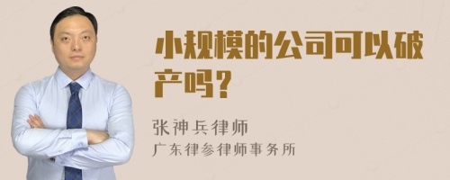 小规模的公司可以破产吗？