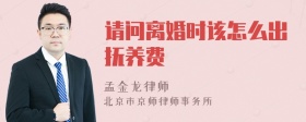 请问离婚时该怎么出抚养费