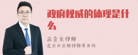 政府权威的体现是什么