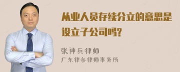 从业人员存续分立的意思是设立子公司吗?