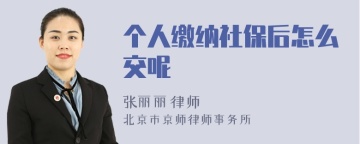 个人缴纳社保后怎么交呢