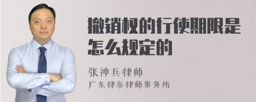 撤销权的行使期限是怎么规定的