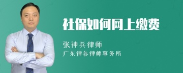 社保如何网上缴费