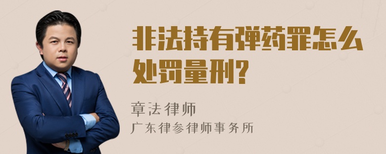 非法持有弹药罪怎么处罚量刑?