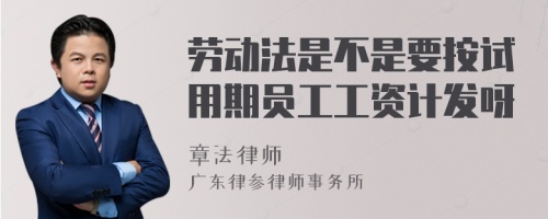 劳动法是不是要按试用期员工工资计发呀