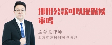 挪用公款可以提保候审吗