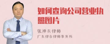 如何查询公司营业执照图片