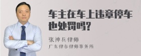 车主在车上违章停车也处罚吗?