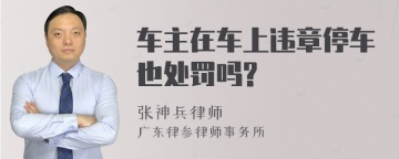 车主在车上违章停车也处罚吗?