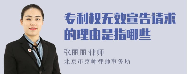 专利权无效宣告请求的理由是指哪些