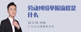 劳动纠纷举报流程是什么