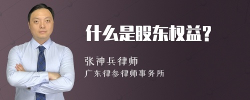 什么是股东权益?