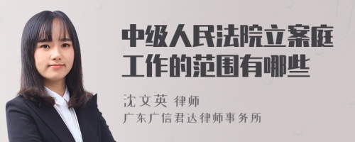 中级人民法院立案庭工作的范围有哪些