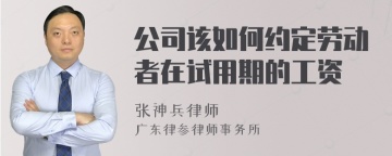 公司该如何约定劳动者在试用期的工资