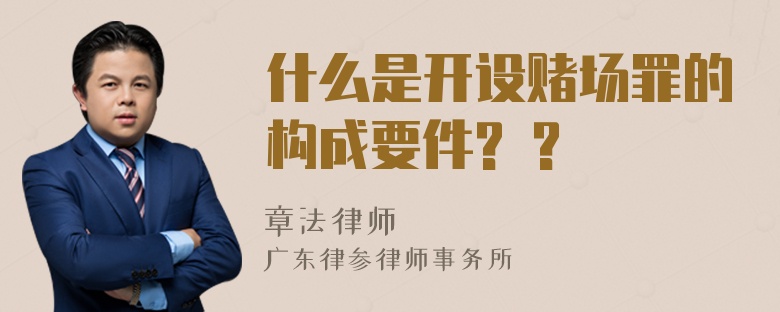 什么是开设赌场罪的构成要件? ?