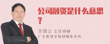 公司融资是什么意思？