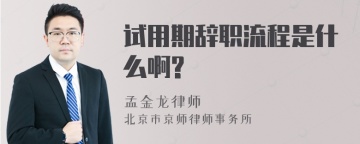 试用期辞职流程是什么啊?