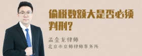 偷税数额大是否必须判刑?