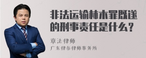 非法运输林木罪既遂的刑事责任是什么？