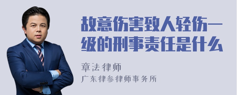 故意伤害致人轻伤一级的刑事责任是什么