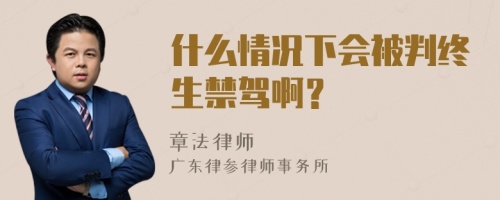 什么情况下会被判终生禁驾啊？