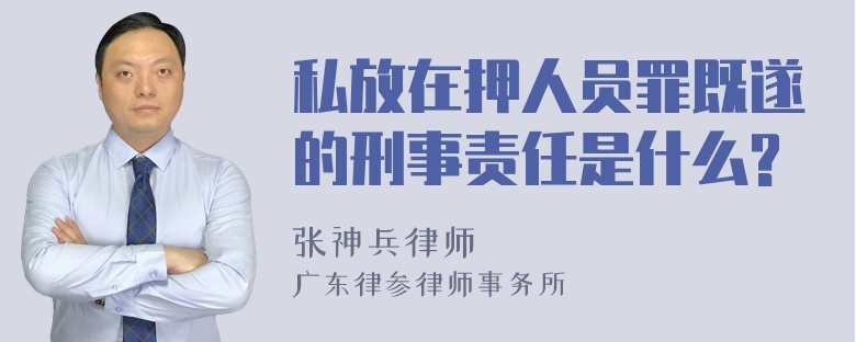 私放在押人员罪既遂的刑事责任是什么?