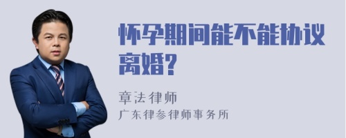 怀孕期间能不能协议离婚?