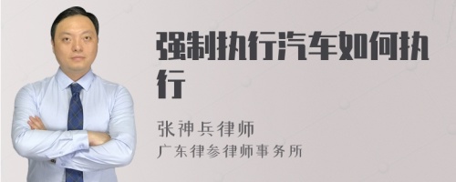 强制执行汽车如何执行