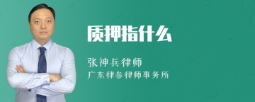 质押指什么