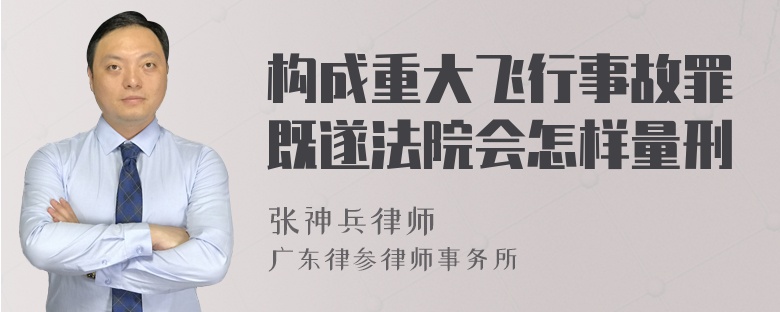 构成重大飞行事故罪既遂法院会怎样量刑