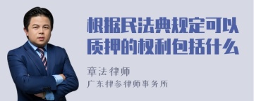 根据民法典规定可以质押的权利包括什么