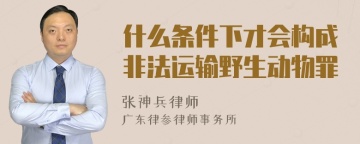 什么条件下才会构成非法运输野生动物罪