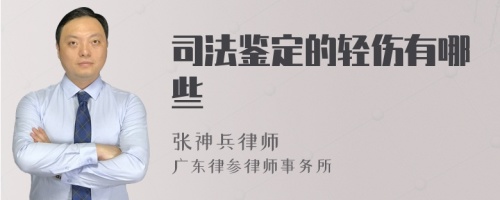 司法鉴定的轻伤有哪些