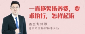 一直拖欠抚养费，要求执行，怎样起诉