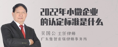 2022年小微企业的认定标准是什么