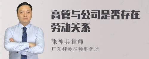 高管与公司是否存在劳动关系