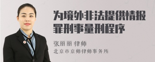 为境外非法提供情报罪刑事量刑程序