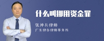 什么叫挪用资金罪