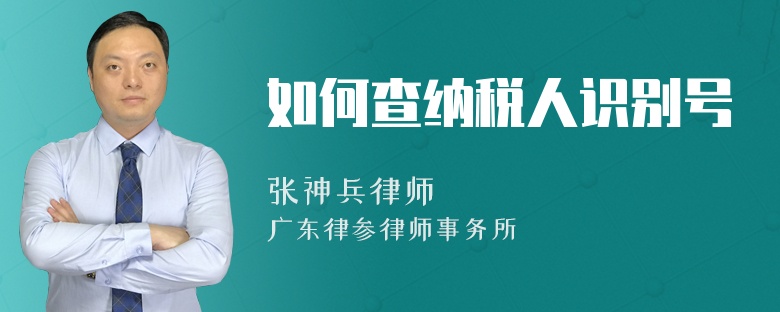 如何查纳税人识别号