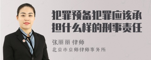 犯罪预备犯罪应该承担什么样的刑事责任