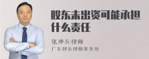 股东未出资可能承担什么责任