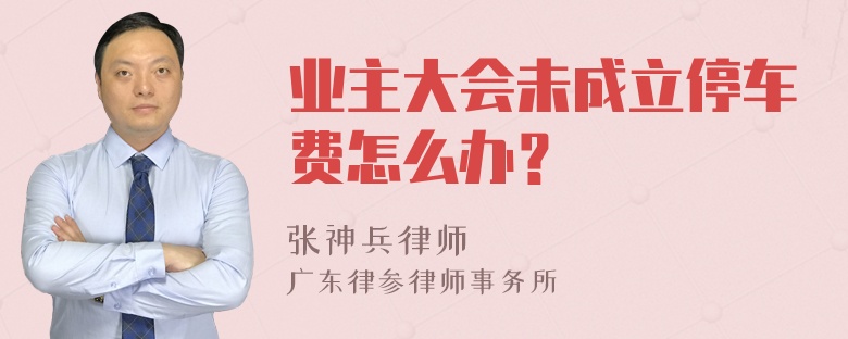 业主大会未成立停车费怎么办？