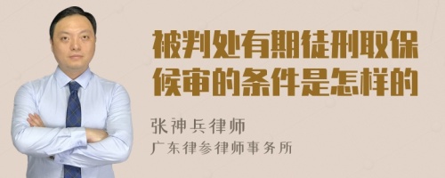 被判处有期徒刑取保候审的条件是怎样的