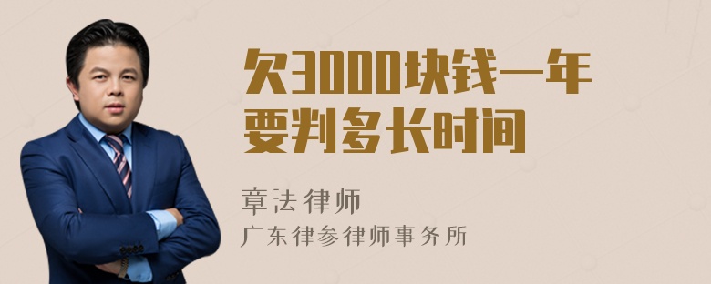 欠3000块钱一年要判多长时间