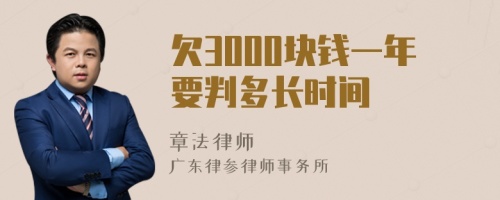 欠3000块钱一年要判多长时间